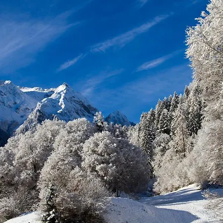 Haus Niederegger Apartman Finkenberg