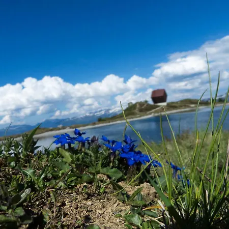 Appartement Haus Niederegger