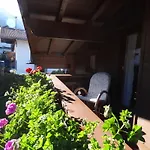 Haus Niederegger フィンケンベルク