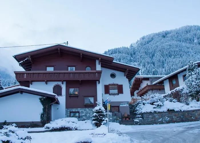 Haus Niederegger Apartment Finkenberg