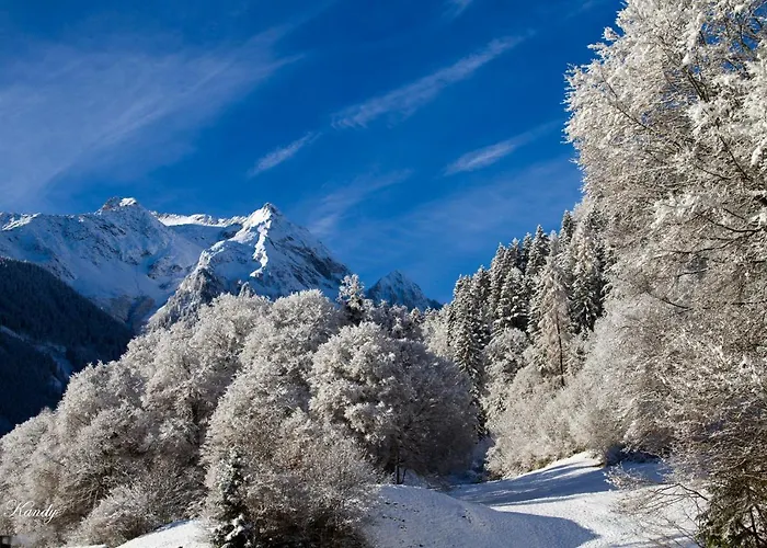 Haus Niederegger Apartment Finkenberg