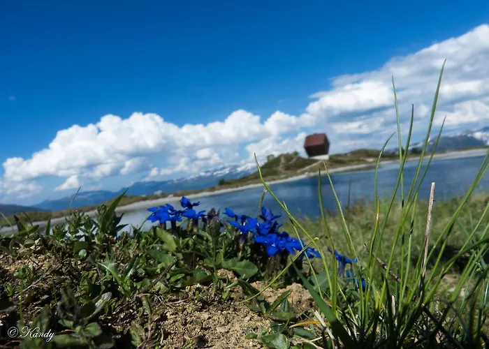 Apartment Haus Niederegger