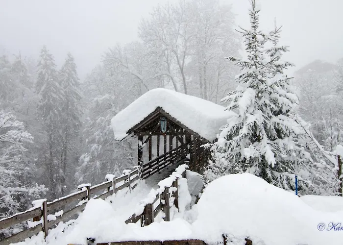 Haus Niederegger Apartment *